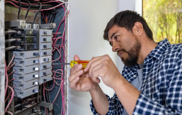 Best Electric Panel Repair  in Glenwood, MN